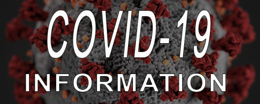 Coronavirus information webpage link